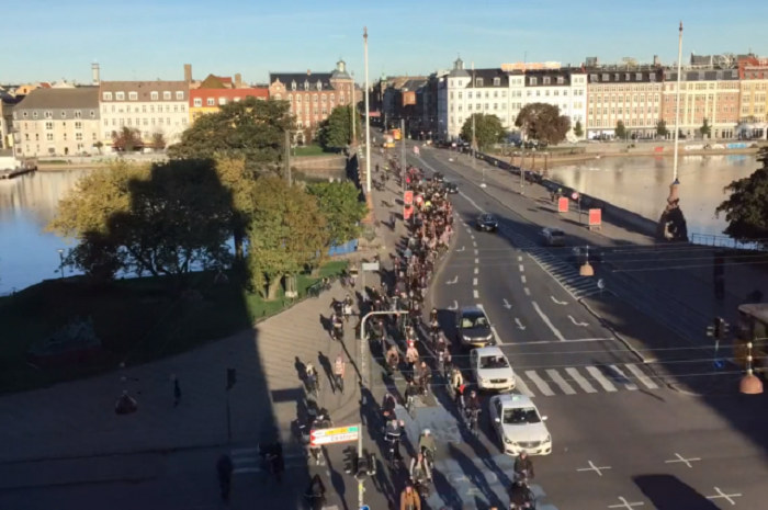 Видео: велосипедный час пик в Копенгагене