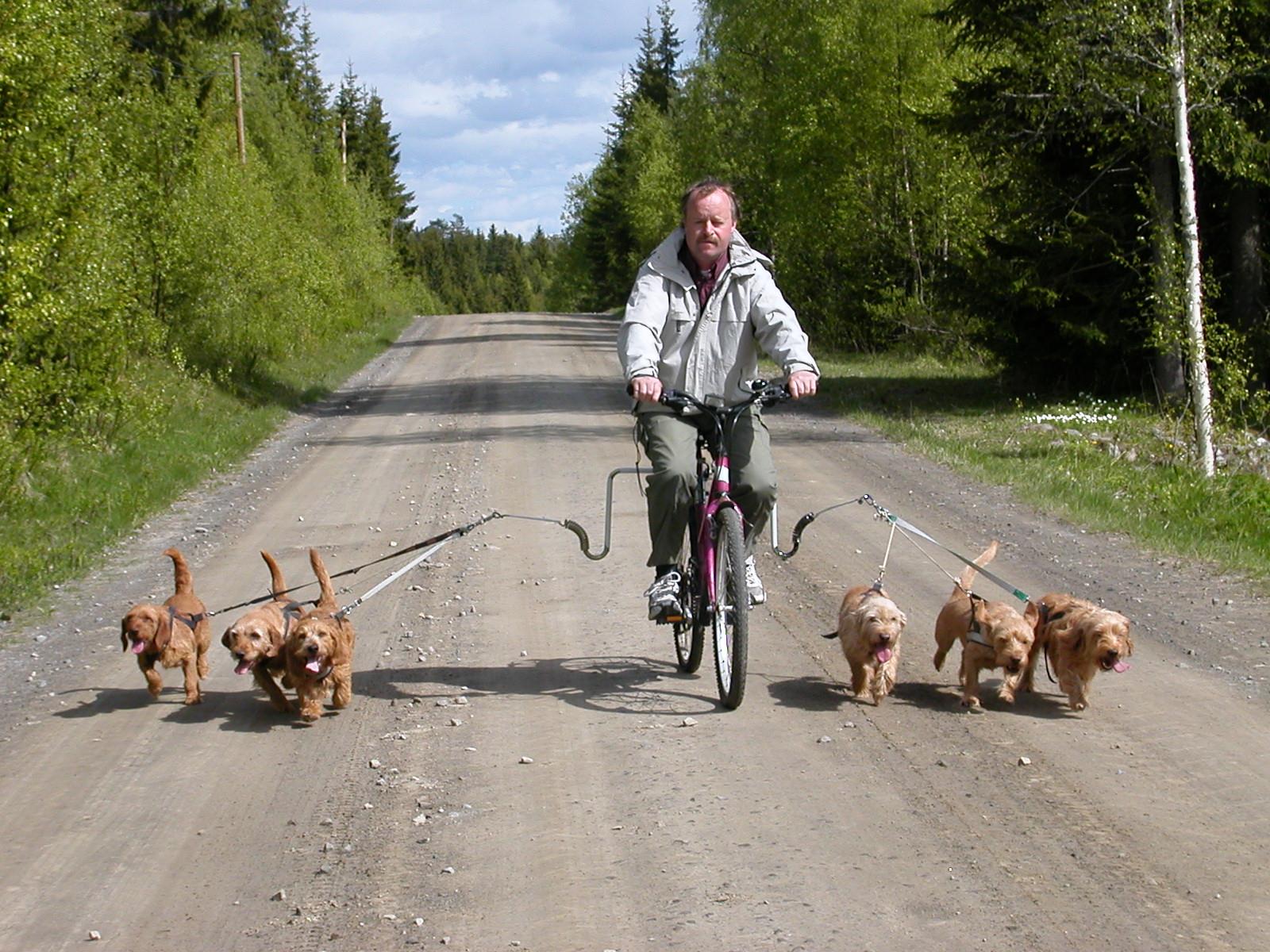 Поводок Springer для выгула собак на велосипеде