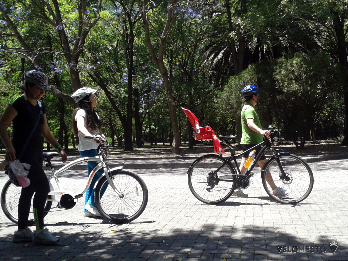 Как в Мехико «Воскресенье без машин» породило новую культуру экологичной мобильности