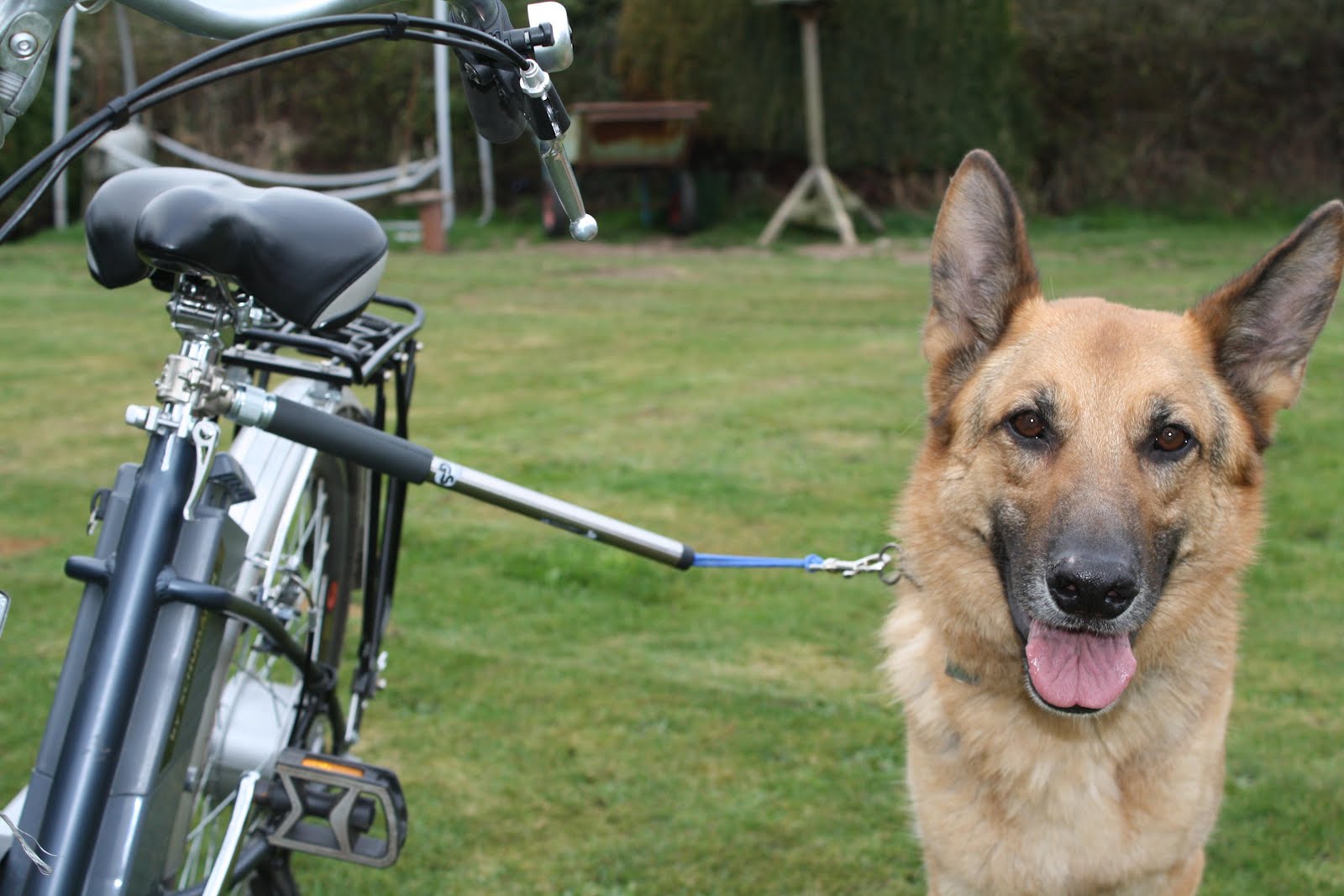 Поводок Walky Dog для выгула собак на велосипеде
